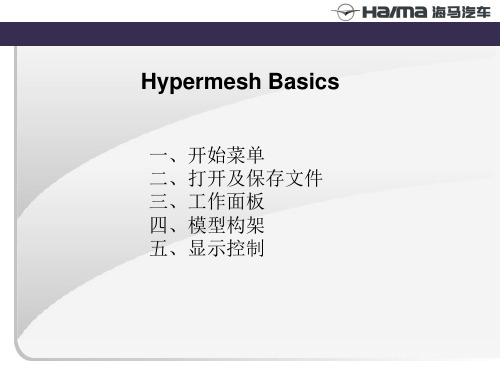 Hypermesh中文手册—Basics