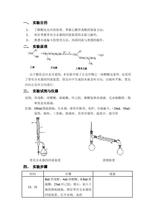 乙酸异戊酯的制备