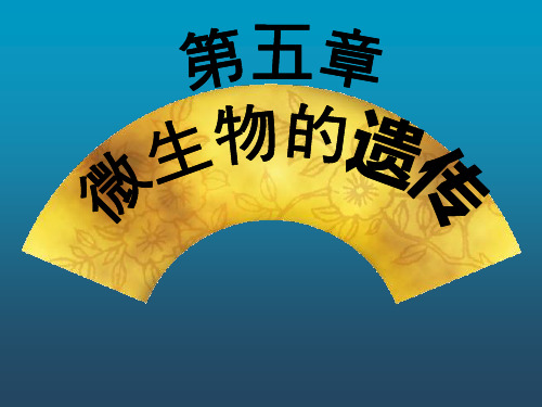 《微生物第五章》PPT课件