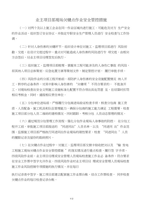 业主项目部现场关键点作业安全管控措施.docx