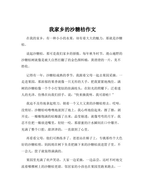 我家乡的沙糖桔作文