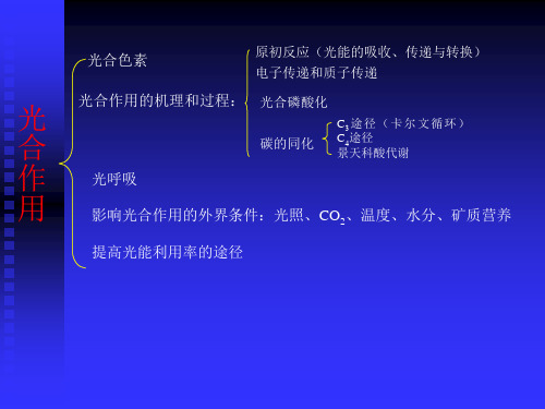 高中生物竞赛辅导资料植物学部分可修改文字