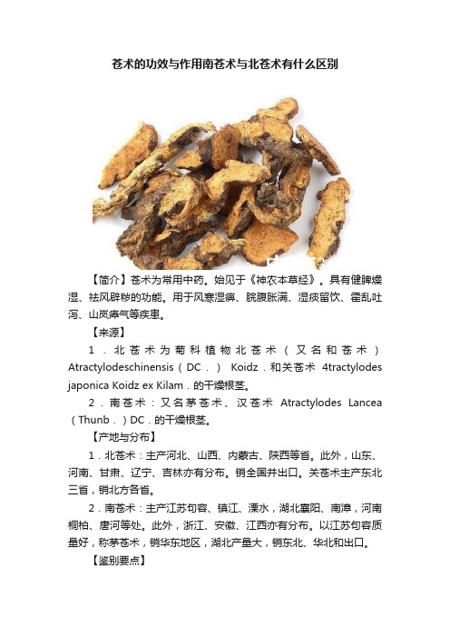 苍术的功效与作用南苍术与北苍术有什么区别