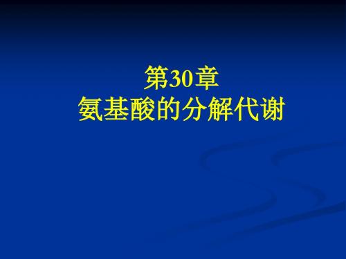 第30章氨基酸的分解代谢