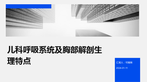 儿科呼吸系统及胸部解剖生理特点