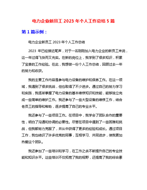 电力企业新员工2023年个人工作总结5篇