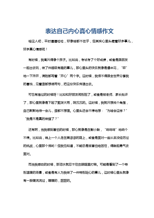 表达自己内心真心情感作文