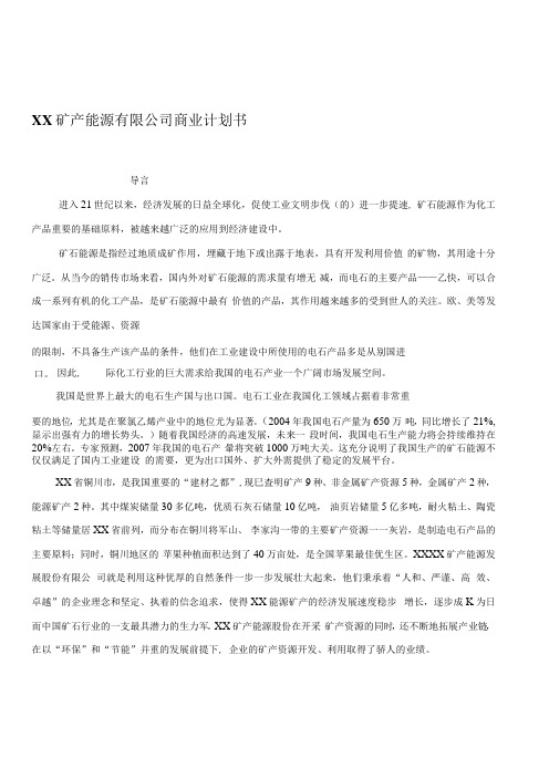 XX矿产能源有限公司商业计划书