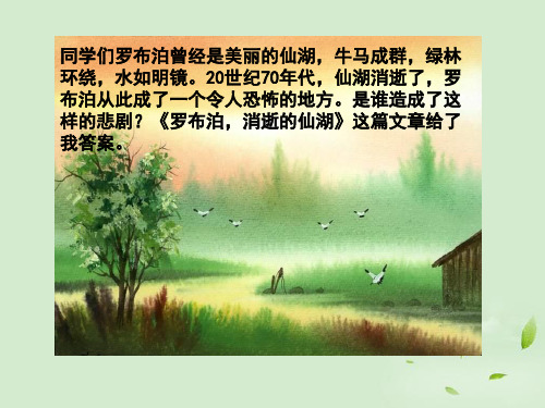 6月八年级语文下册 罗布泊,消逝的仙湖1课件 人教新课标版