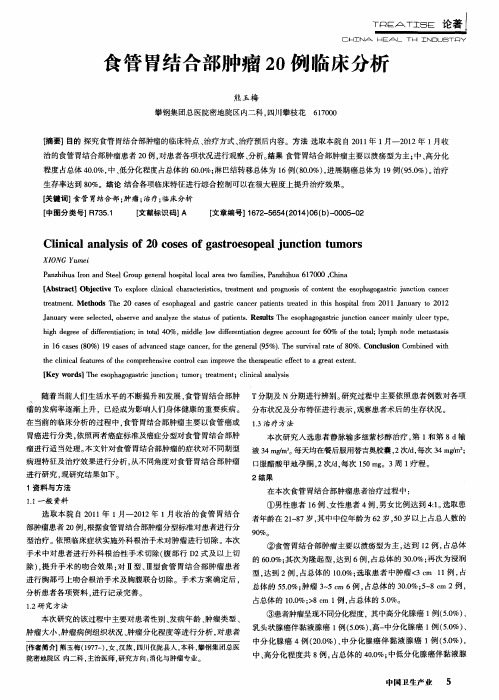 食管胃结合部肿瘤20例临床分析