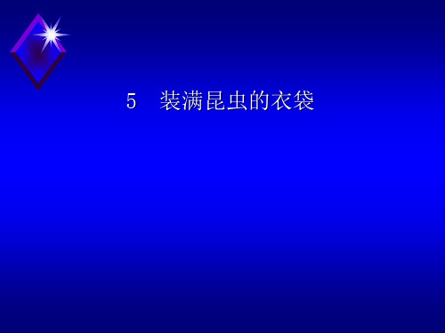 (赛课课件)五年级上册语文《装满昆虫的衣袋》(共32张PPT)