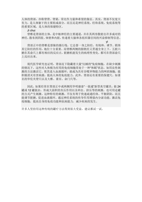 人体的背部