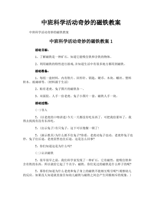 中班科学活动奇妙的磁铁教案