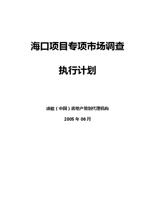 海口项目专项市场调查执行计划