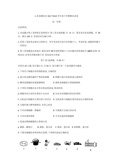 山东省潍坊市2017-2018学年高一下期末检测生物试题(无答案)
