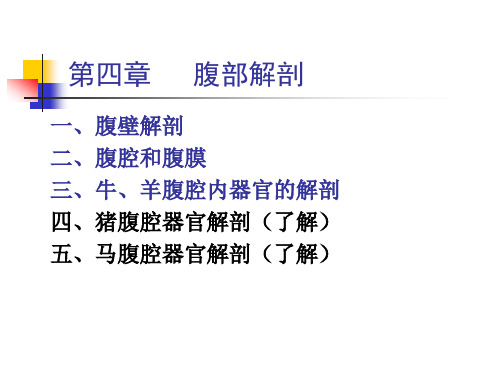 局部解剖学5腹部资料