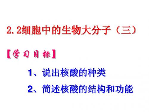 2.2细胞中的生物大分子(三)——核酸