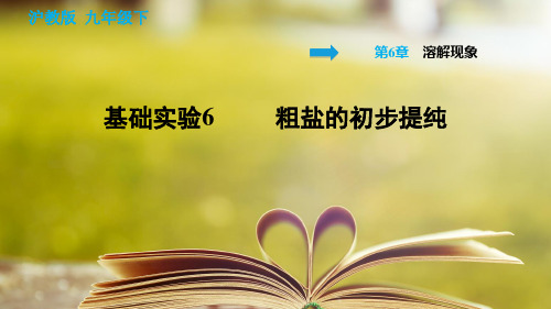 沪教版化学九年级下册第六章《溶解现象》基础实验6 粗盐的初步提纯