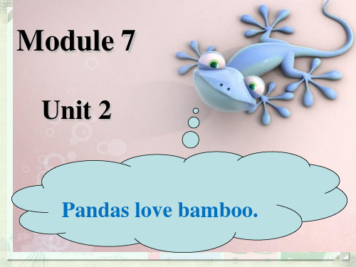 外研社(三起)六年级上册英语课件-Module 7 Unit 2 Pandas love bambo