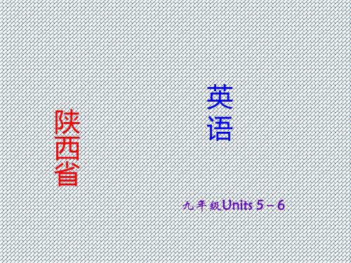 2015届(陕西)中考英语课时备考冲刺复习课件九年级Units5-6