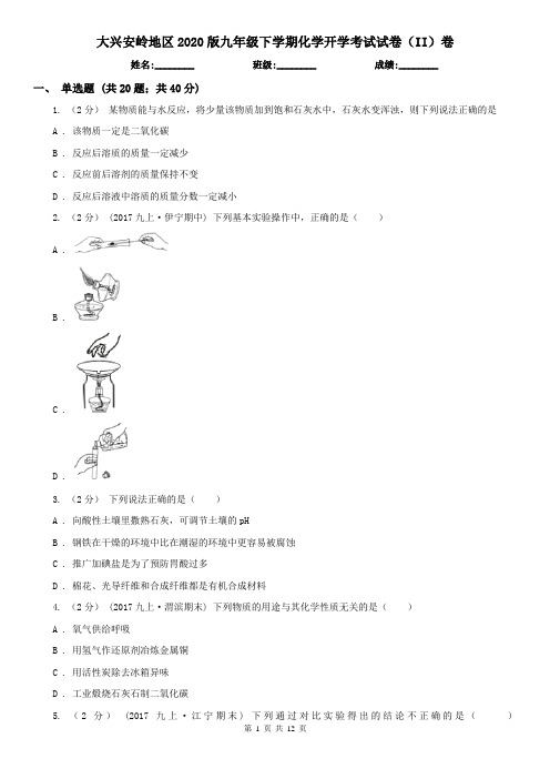 大兴安岭地区2020版九年级下学期化学开学考试试卷(II)卷