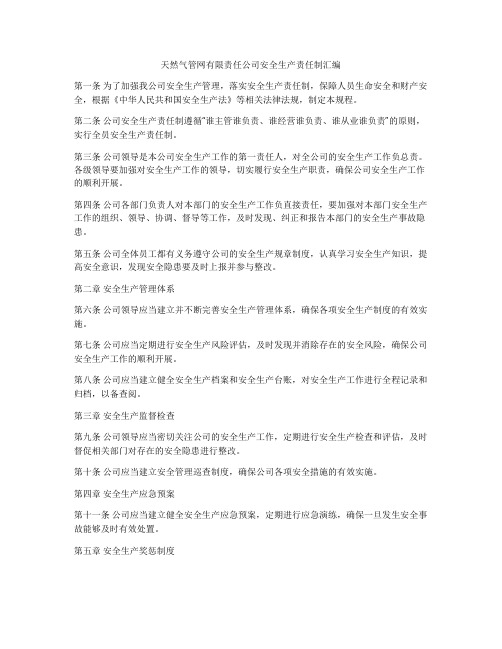 天然气管网有限责任公司安全生产责任制汇编