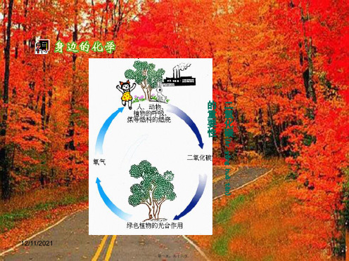 九年级化学上册第五章燃料第3节《二氧化碳的性质探究及用途》参考