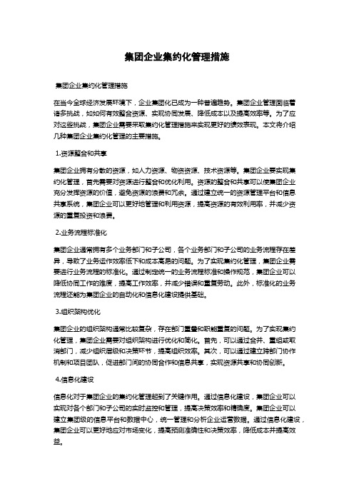 集团企业集约化管理措施