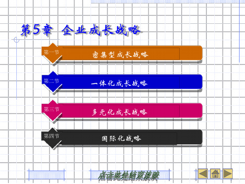 第5章 企业成长战略讲解