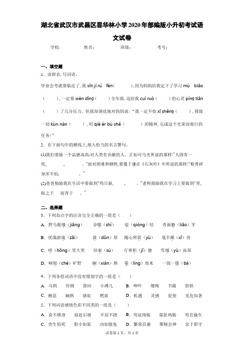 湖北省武汉市武昌区昙华林小学2020年部编版小升初考试语文试卷(含答案解析)