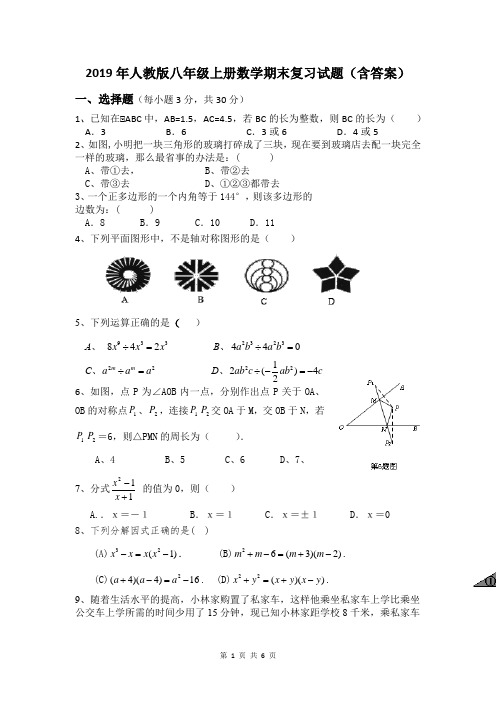 2019年人教版八年级上册数学期末复习试题(含答案)