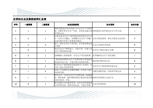 扣分项及原因说明