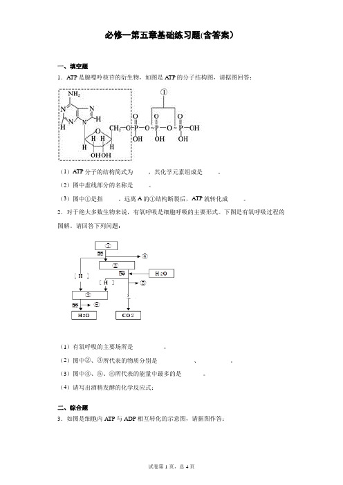 人教版高中生物必修一第5章基础练习题2022年夏季高考第一轮复习题