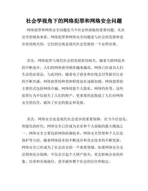 社会学视角下的网络犯罪和网络安全问题