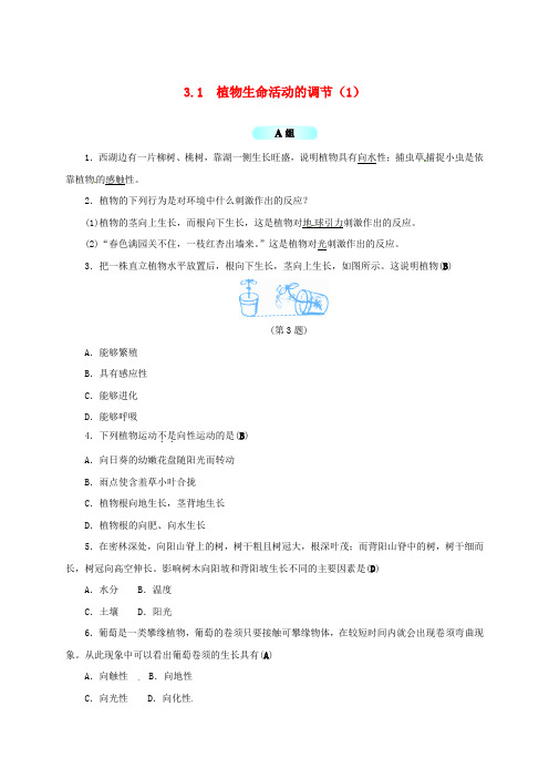 八年级科学上册 3.1 植物生命活动的调节(1)同步试题 (新版)浙教版