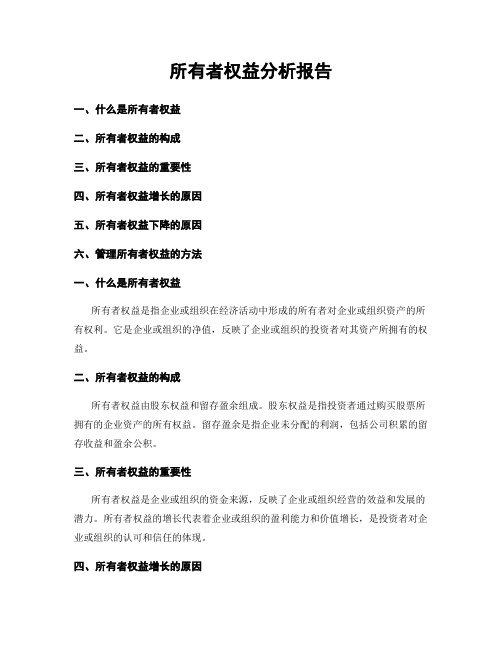 所有者权益分析报告