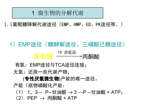 微生物的代谢