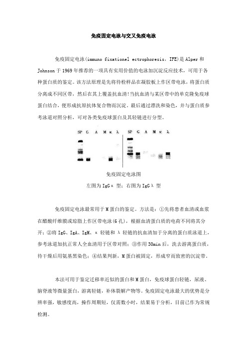 免疫固定电泳与交又免疫电泳