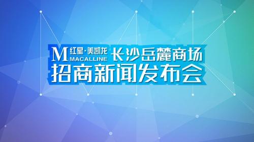 某公司开业招商方案(PPT 75张)