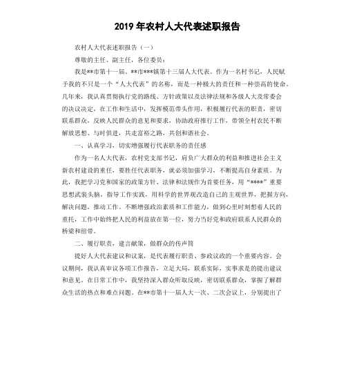 2019年农村人大代表述职报告