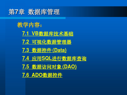 第9章 数据库应用程序共53页文档