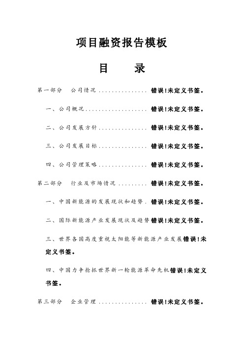 项目融资报告模板