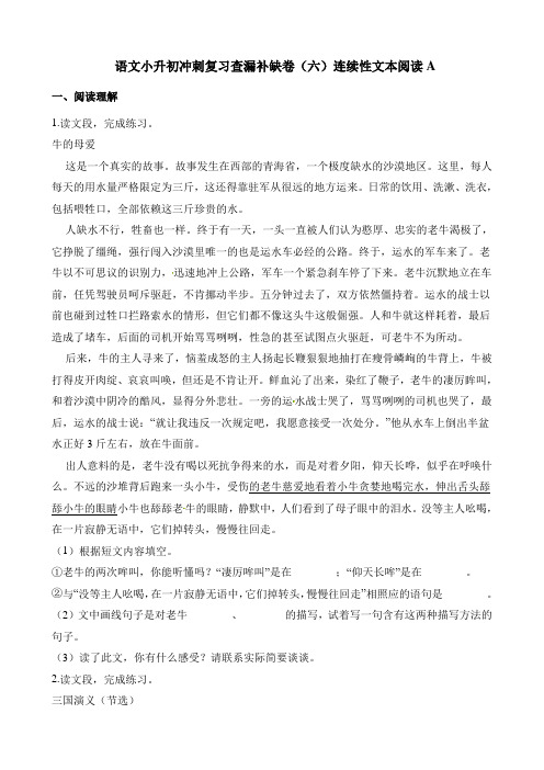 六年级语文下册试题：2019年语文小升初冲刺复习查漏补缺卷(六)连续性文本阅读A 人教新课标_含解析