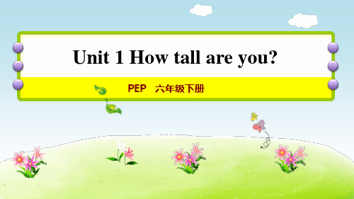 Unit1 How tall areyouPEP六年级下册PPT-完美版