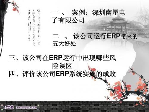 ERP案例分析