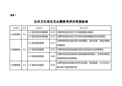 公共卫生项目支出绩效考评共性指标表