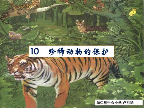 10.珍稀动物的保护