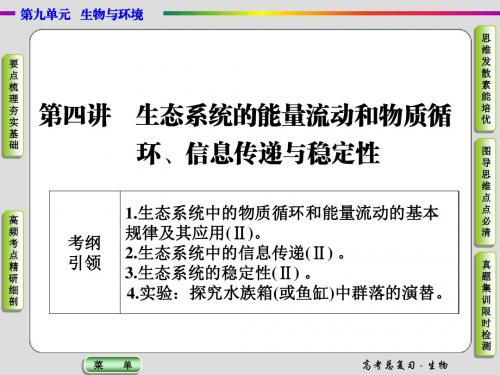 2016届高三生物一轮总复习课件：第九单元第四讲生态系统的能量流动和物质循环、信息传递与稳定性