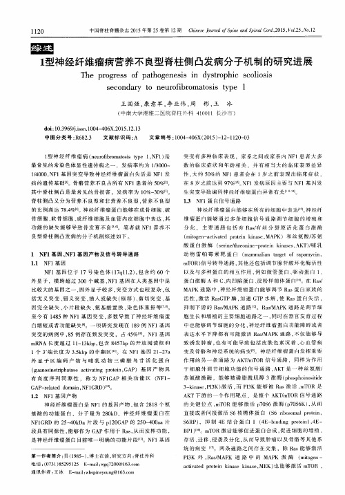 1型神经纤维瘤病营养不良型脊柱侧凸发病分子机制的研究进展