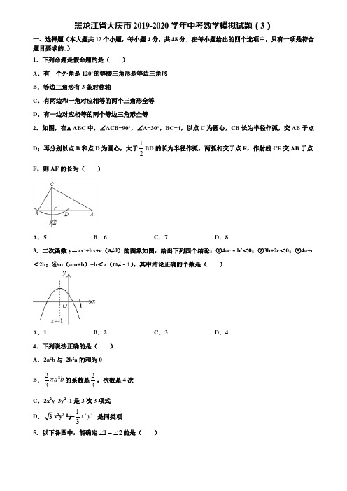 黑龙江省大庆市2019-2020学年中考数学模拟试题(3)含解析